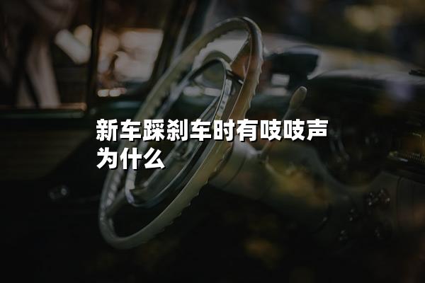 新车踩刹车时有吱吱声为什么