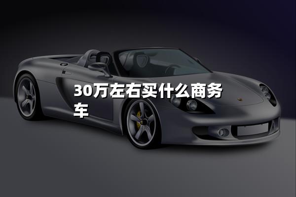 30万左右买什么商务车