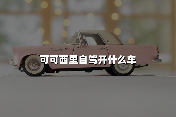 可可西里自驾开什么车