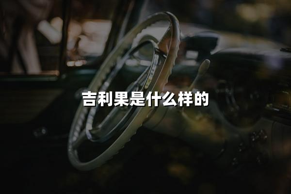 吉利果是什么样的